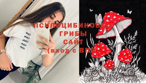 спиды Лиски