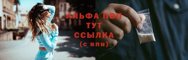 спиды Лиски
