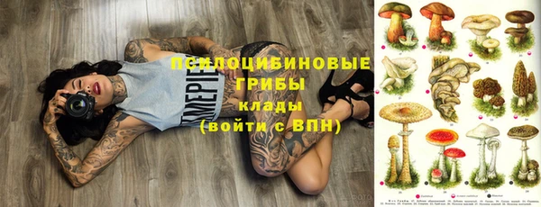 спиды Лиски