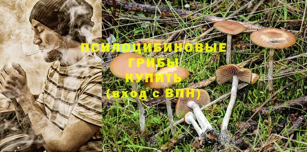 спиды Лиски