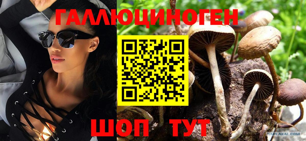 Галлюциногенные грибы мицелий  Усть-Илимск  Галлюциногенные грибы ЛСД 